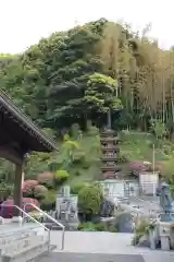 金前寺の建物その他