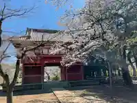 金乘院の山門・神門