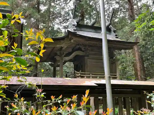 琴平神社(埼玉県)