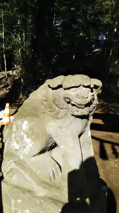七百餘所神社 の狛犬