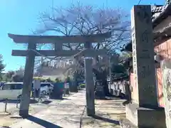 前玉神社の鳥居