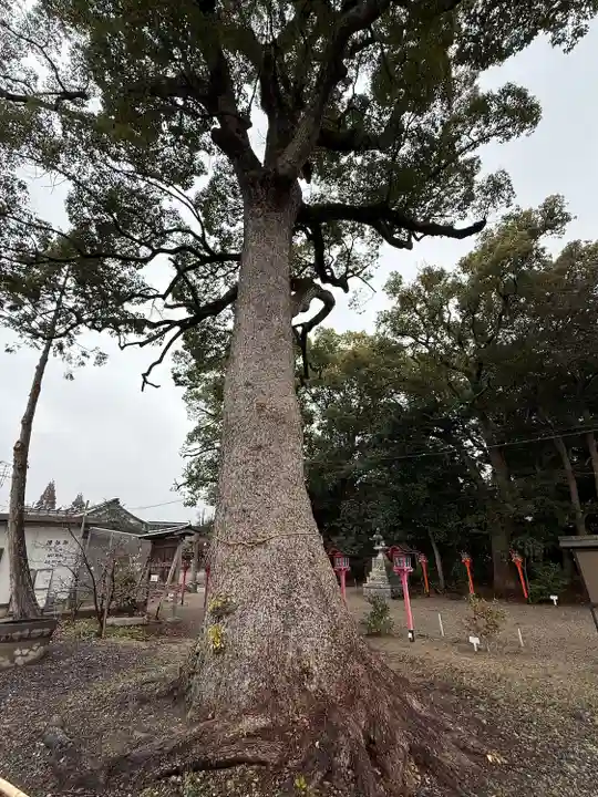 都波岐奈加等神社(三重県)