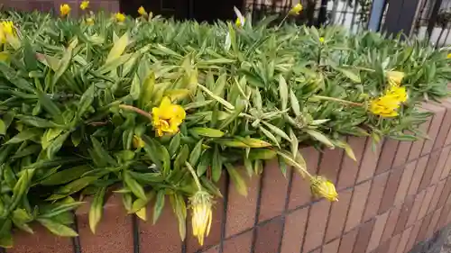 神明社（国府宮神明社）の自然