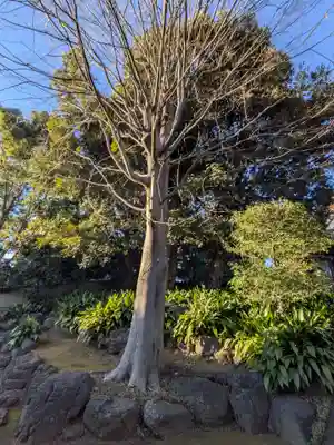 長仙寺(東京都)