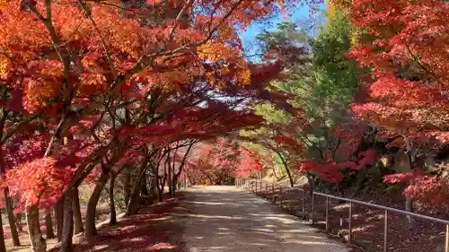 龍泉寺(岡山県)