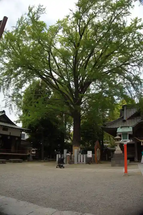田無神社(東京都)