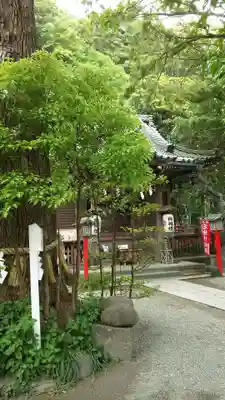 八雲神社（鎌倉・大町）の本殿・本堂