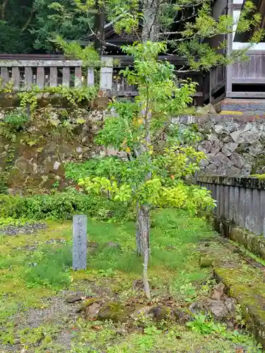 諏訪大社の自然