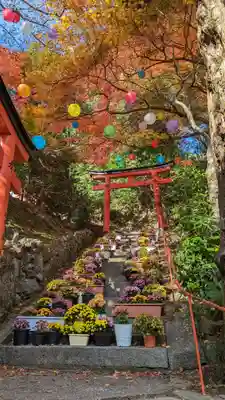 柳谷観音　楊谷寺(京都府)