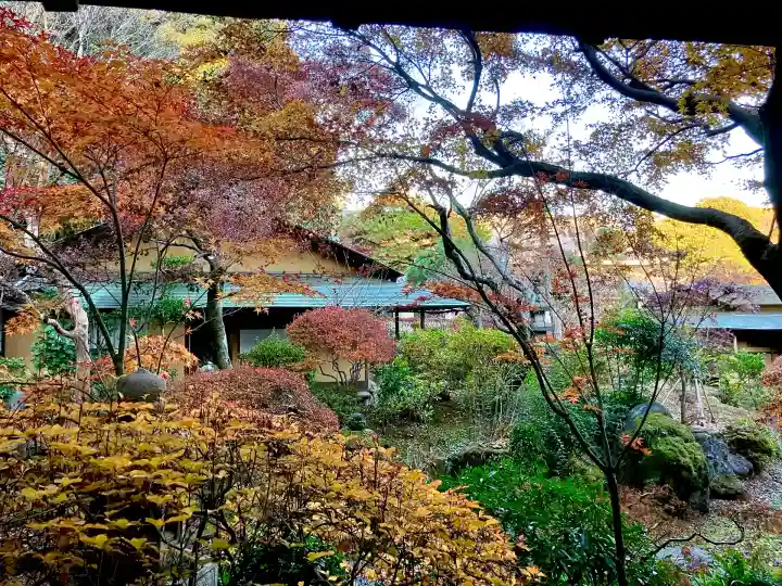 本土寺(千葉県)