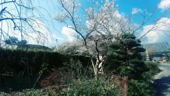 香勝寺(静岡県)