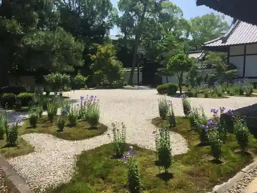 廬山寺（廬山天台講寺）の庭園