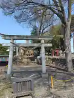 飯玉神社(埼玉県)