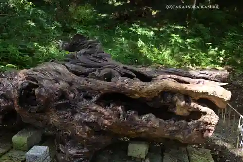 泉神社(茨城県)