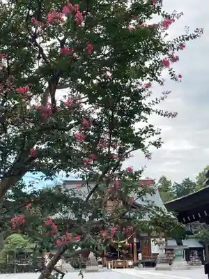 白鷺神社の自然