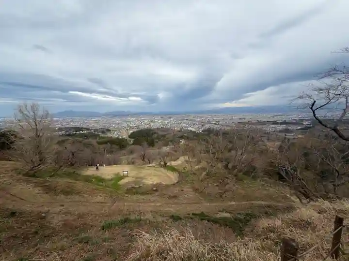春日山神社の{uncategorized: "未分類", other: "その他", undefined: "問題あり", building: "その他建物", grave: "お墓", sacred_gate: "鳥居", guardian: "狛犬", statue: "像", buddha: "仏像", history: "歴史", nature: "自然", garden: "庭園", animal: "動物", pagoda: "塔", temizu: "手水舎", mountain_gate: "山門・神門", sanctuary: "本殿・本堂", subordinate: "末社・摂社", art: "芸術", scenery: "景色", jizo: "地蔵", ema: "絵馬", goshuin: "御朱印", omikuji: "おみくじ", items: "授与品その他", amulet: "お守り", goshuincho: "御朱印帳", eats: "食事", festival: "お祭り", votive_dance: "神楽", shichigosan: "七五三参", wedding: "結婚式", experience: "体験その他", initially: "初詣", around: "周辺", anti_infection: "感染症対策"}