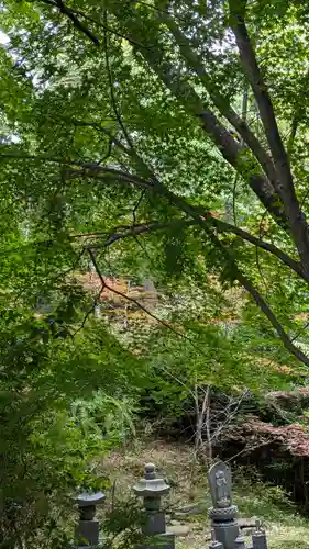 十輪寺(京都府)