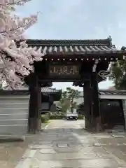 満願寺の山門