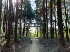 箱根神社の鳥居