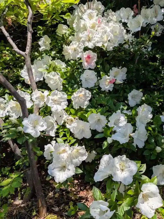 伊達神社(北海道)