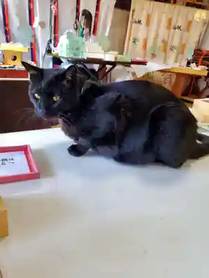 高司神社〜むすびの神の鎮まる社〜(福島県)