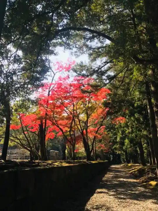 大斎原(熊野本宮大社旧社地)の自然