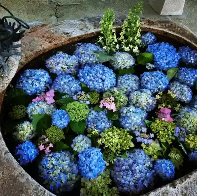 立志神社の手水舎