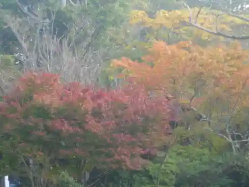 鎌倉宮の景色