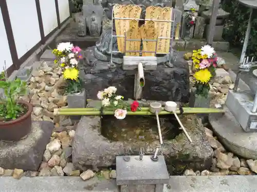 退蔵院の手水舎