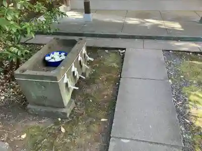 船橋神明神社の{uncategorized: "未分類", other: "その他", undefined: "問題あり", building: "その他建物", grave: "お墓", sacred_gate: "鳥居", guardian: "狛犬", statue: "像", buddha: "仏像", history: "歴史", nature: "自然", garden: "庭園", animal: "動物", pagoda: "塔", temizu: "手水舎", mountain_gate: "山門・神門", sanctuary: "本殿・本堂", subordinate: "末社・摂社", art: "芸術", scenery: "景色", jizo: "地蔵", ema: "絵馬", goshuin: "御朱印", omikuji: "おみくじ", items: "授与品その他", amulet: "お守り", goshuincho: "御朱印帳", eats: "食事", festival: "お祭り", votive_dance: "神楽", shichigosan: "七五三参", wedding: "結婚式", experience: "体験その他", initially: "初詣", around: "周辺", anti_infection: "感染症対策"}