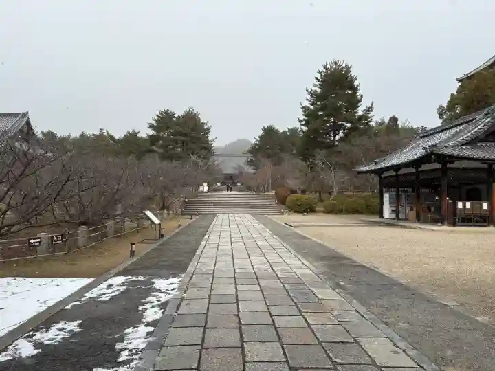 仁和寺の{uncategorized: "未分類", other: "その他", undefined: "問題あり", building: "その他建物", grave: "お墓", sacred_gate: "鳥居", guardian: "狛犬", statue: "像", buddha: "仏像", history: "歴史", nature: "自然", garden: "庭園", animal: "動物", pagoda: "塔", temizu: "手水舎", mountain_gate: "山門・神門", sanctuary: "本殿・本堂", subordinate: "末社・摂社", art: "芸術", scenery: "景色", jizo: "地蔵", ema: "絵馬", goshuin: "御朱印", omikuji: "おみくじ", items: "授与品その他", amulet: "お守り", goshuincho: "御朱印帳", eats: "食事", festival: "お祭り", votive_dance: "神楽", shichigosan: "七五三参", wedding: "結婚式", experience: "体験その他", initially: "初詣", around: "周辺", anti_infection: "感染症対策"}