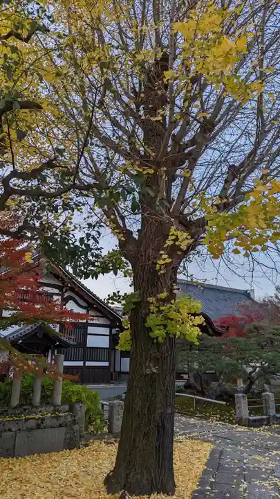 本法寺(京都府)
