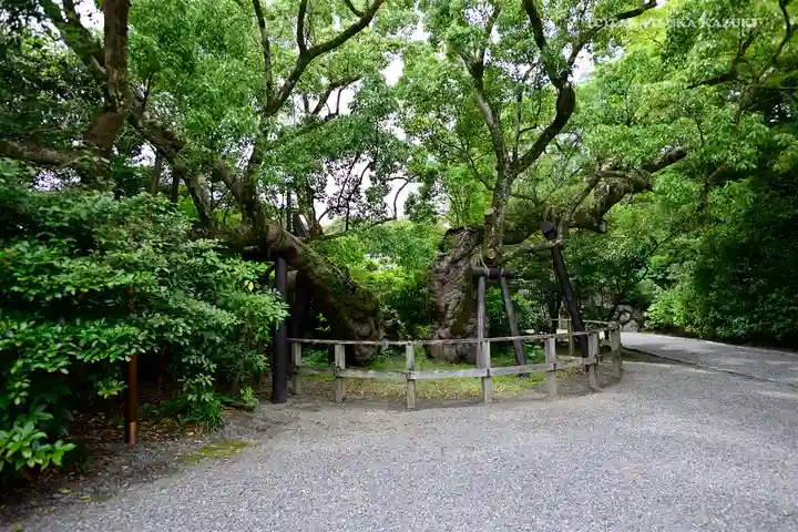 伊勢神宮外宮(豊受大神宮)の自然