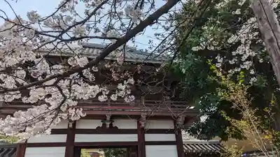 本法寺(京都府)