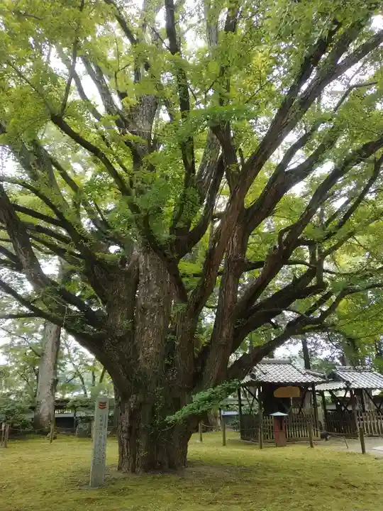 西念寺(茨城県)