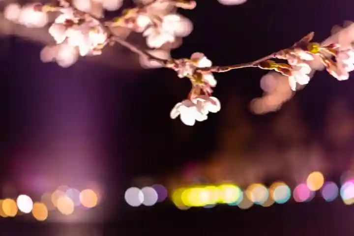 平安神宮(京都府)