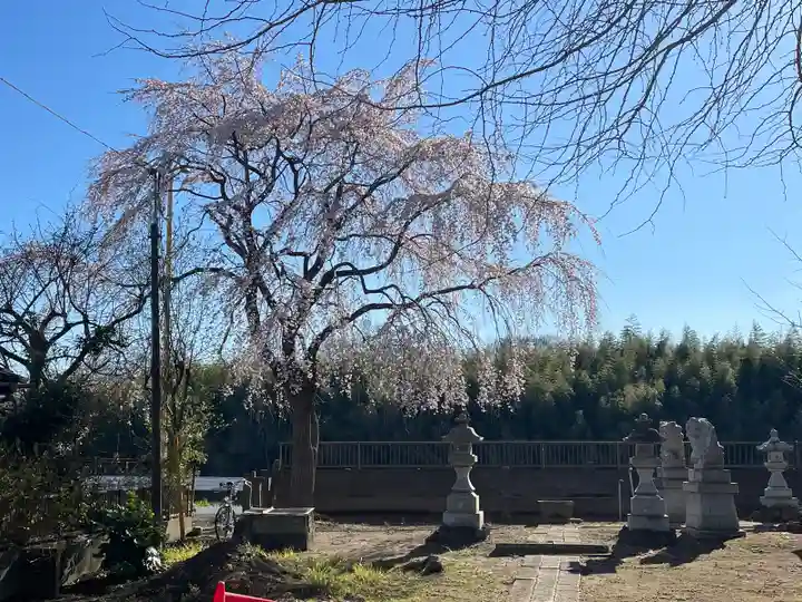 神明神社(埼玉県)