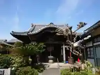 浄誓院の本殿・本堂