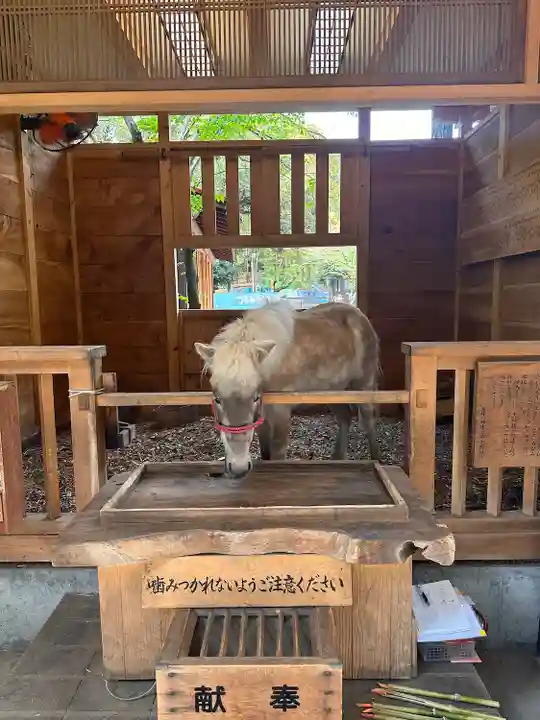 平塚八幡宮(神奈川県)