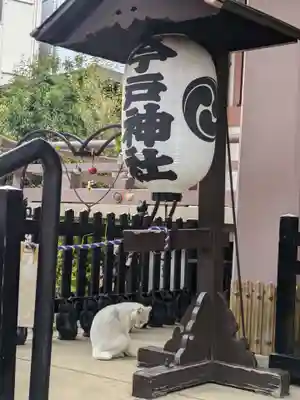 今戸神社(東京都)