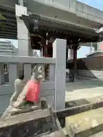 青雲稲荷神社(東京都)