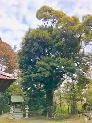 大鷲神社の自然