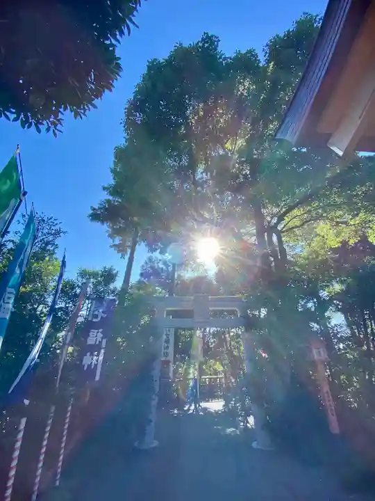 亀ケ池八幡宮のその他建物