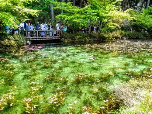 根道神社の庭園