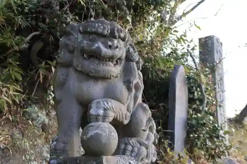阿久津「田村神社」（郡山市阿久津町）旧社名：伊豆箱根三嶋三社の狛犬