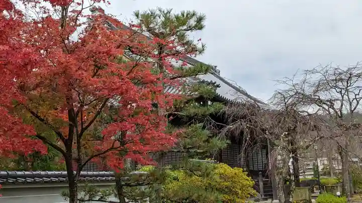妙満寺(京都府)
