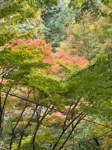 大矢田神社(岐阜県)