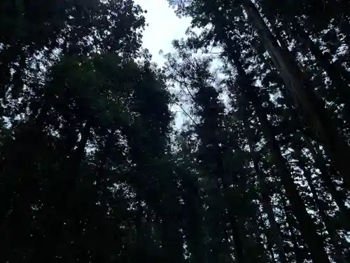 大宮温泉神社(栃木県)