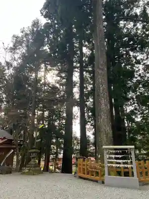 須山浅間神社(静岡県)