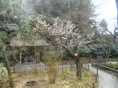 安國論寺（安国論寺）の庭園